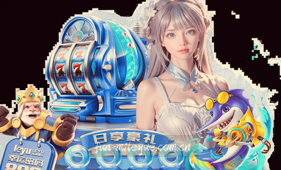 数据洞察是决策的开始